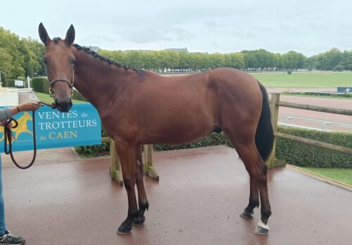 Offshore de Busset fait afficher 20 000 €