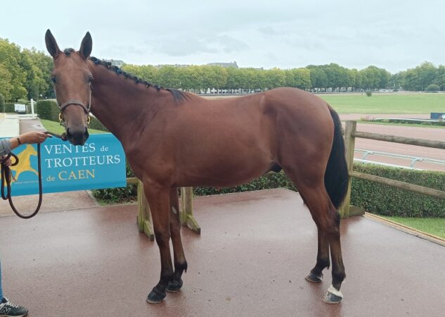 Offshore de Busset fait afficher 20 000 €