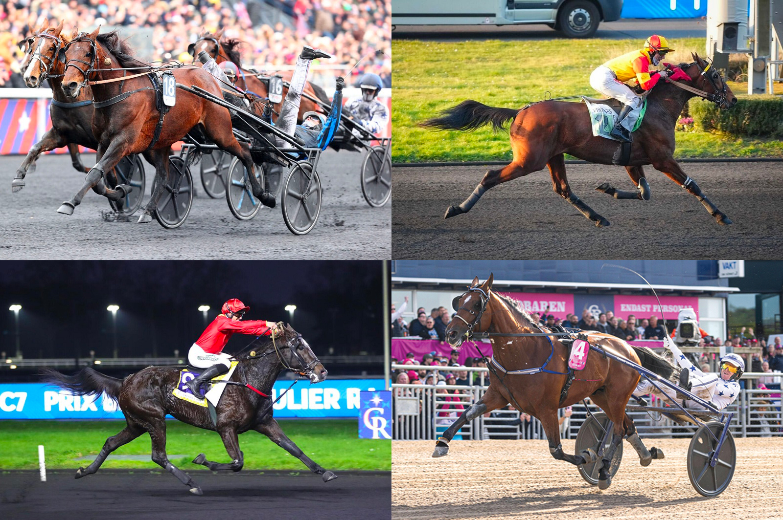  Go on Boy, Idao de Tillard, Jean Balthazar et Keengame : un quatuor de vainqueurs de Groupe 1 en 2025 