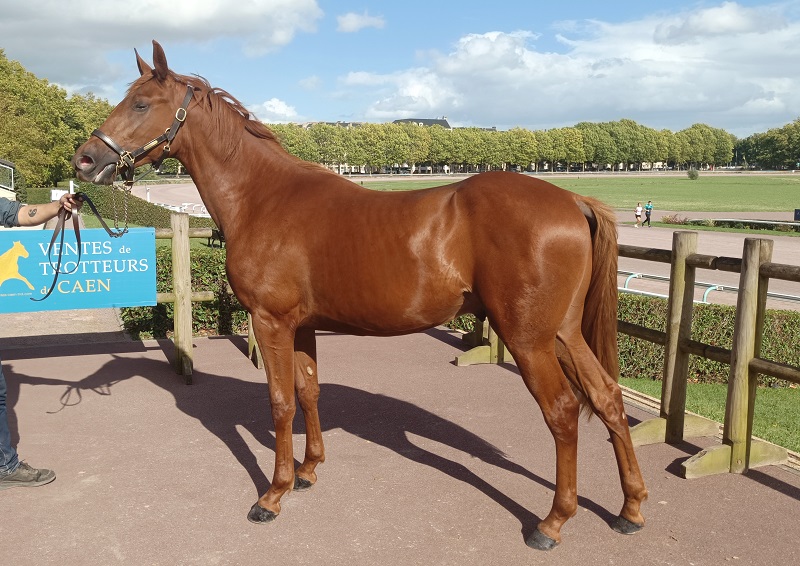 You are currently viewing Oméga du Zoute, la plus belle enchère à 32 000 € d’une troisième journée animée