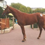 Me Gusta de Nappes adjugé 65 000 €