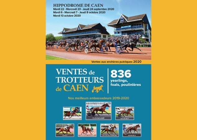 Un catalogue riche et varié