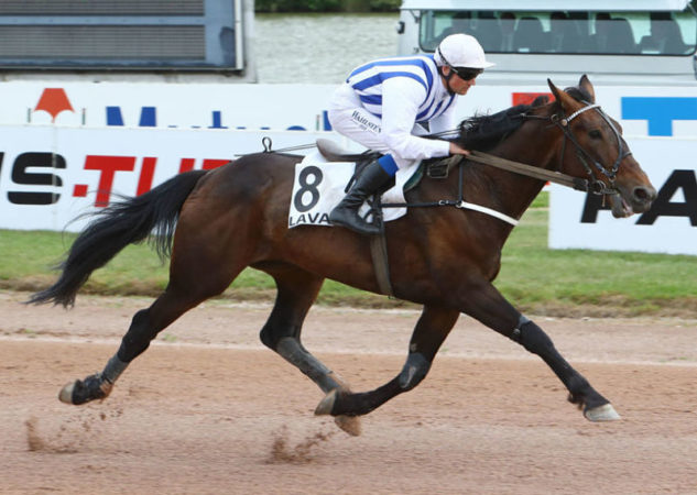 vente de caen trotteur 2016