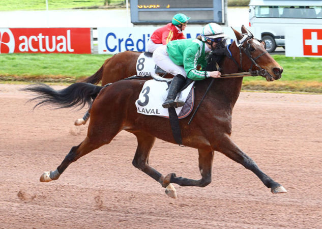 vente de caen trotteur 2016