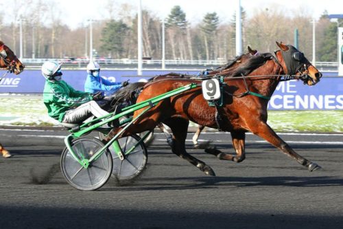 Falkris brille dans le temple du trot