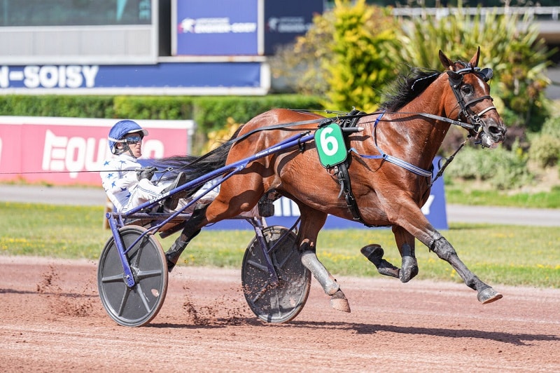 Go On Boy intraitable dans le « Washington »