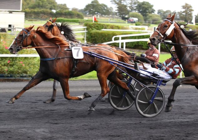 Un magnifique Gendréen dans le Grand Prix Anjou-Maine