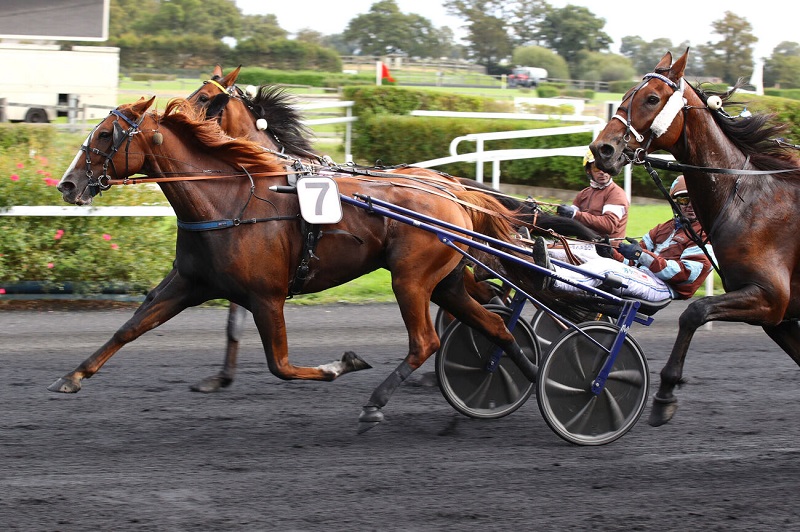 Un magnifique Gendréen dans le Grand Prix Anjou-Maine