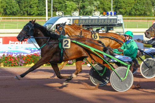 Espoir des Champs et Gétéhi du Noyer à l’honneur
