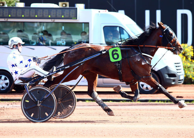 Go On Boy, roi de Cagnes