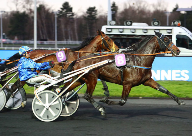 Débuts tonitruants à Vincennes pour Gun Sissi