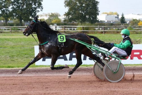 Gump du Poncelet et Hasur Dairpet, deux beaux vainqueurs Premium