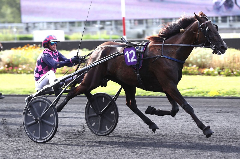 La barre des 400 000 € de gains en vue pour Happy Danica !