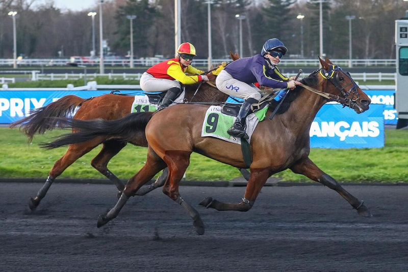 You are currently viewing Heuristique passe la barre des 400 000 € !