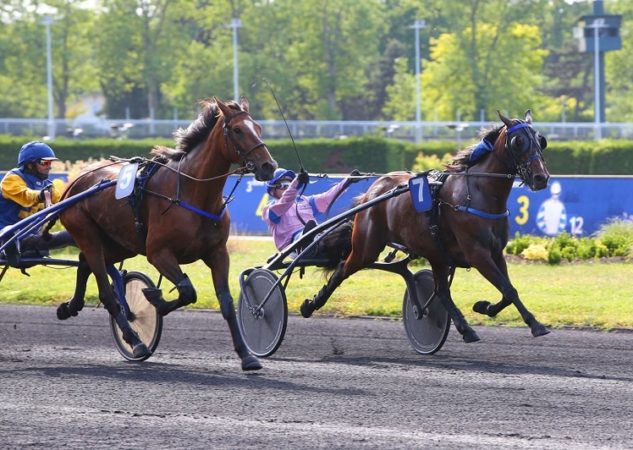 Hizia Marandaise – Hélia de Fromentin : un beau couplé gagnant !