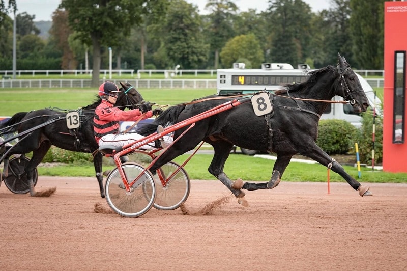 Hulysse Digeo brille à Enghien