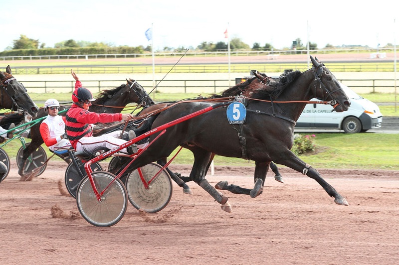 You are currently viewing Hulysse Digeo étincelant au niveau Groupe II