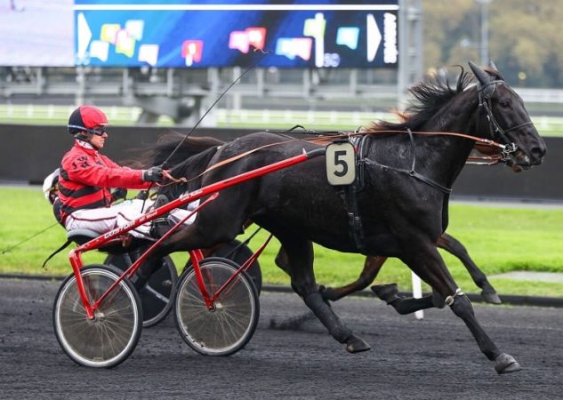 Hulysse Digeo, premier vainqueur du meeting d’hiver