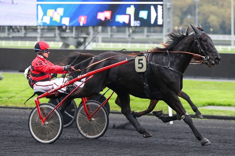 Hulysse Digeo, premier vainqueur du meeting d’hiver