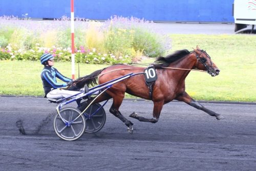 Rentrée victorieuse d’IDAO DE TILLARD