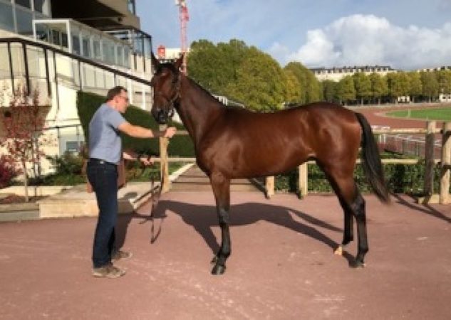 Idao de Tillard adjugé 27 000 €