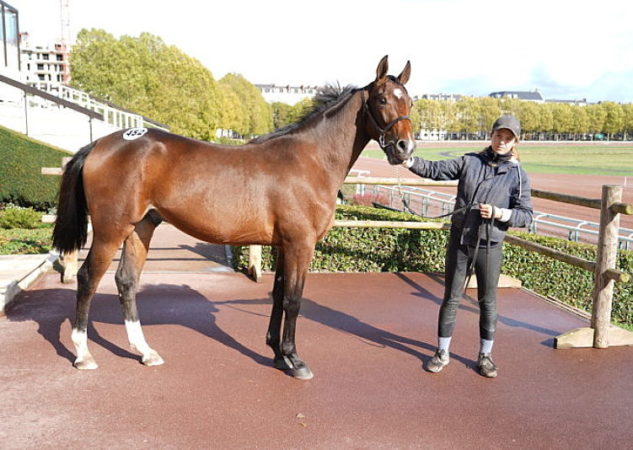 Sous le charme d’Ivoire Dairpet