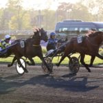 Rentrée victorieuse du champion Idao de Tillard