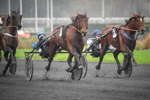 Idao de Tillard et Go On Boy qualifiés pour « l’Amérique »