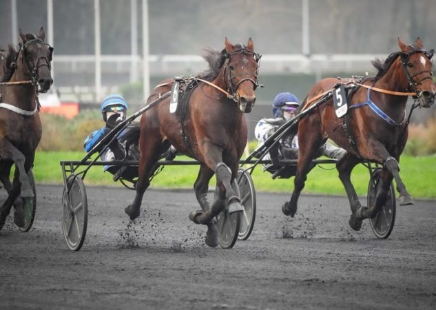 Idao de Tillard et Go On Boy qualifiés pour « l’Amérique »