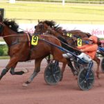 Midland d’Oyse, Iggy des Rioults et Lady du Châtelet brillent au niveau Premium