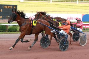 Midland d’Oyse, Iggy des Rioults et Lady du Châtelet brillent au niveau Premium