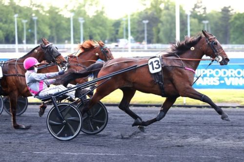 Iguane de Caponet reprend ses bonnes habitudes