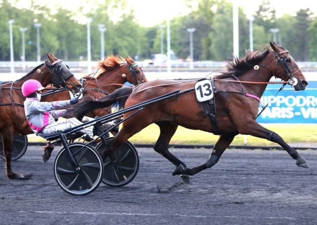 Iguane de Caponet reprend ses bonnes habitudes