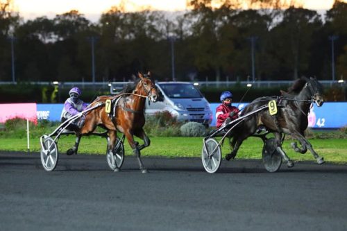 Belles valeurs d’Inouï Danica et Intense de Tillard dans le Prix Louis Cauchois