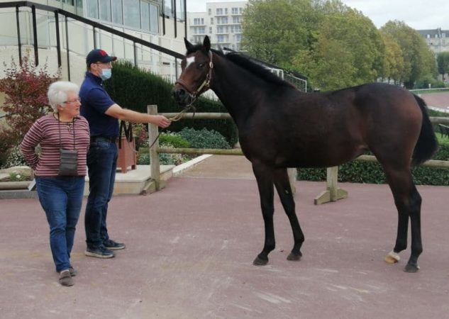 Une année record