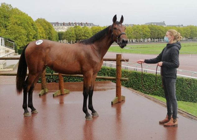 Jaliska Ellis top price à 48 000 €