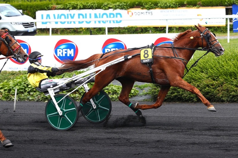 Jango Vici, magistral dans la 5e étape du G.N.T.