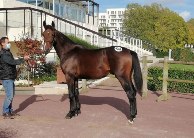Encore de très bons chiffres ce mercredi