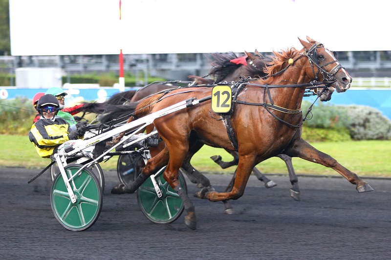 You are currently viewing Iroko du Loir – Karna des Baults – Jango Vici : une triple réussite parisienne