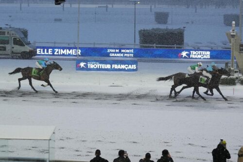 Je Rêve du Bois et Mariéva de Lou, nos gagnants du jour à Vincennes