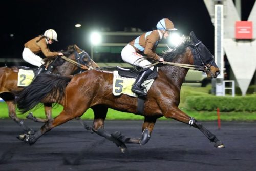 Kallas in Sallaz brille pour sa rentrée à Vincennes