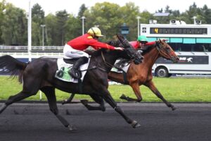 Lire la suite à propos de l’article Kapaula de l’Épine – Keengame : le très joli couplé gagnant du Prix Hervé Céran-Maillard