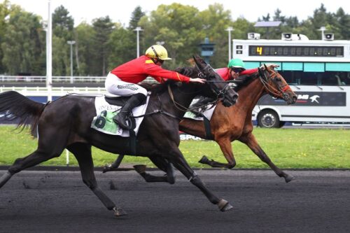 Kapaula de l’Épine – Keengame : le très joli couplé gagnant du Prix Hervé Céran-Maillard