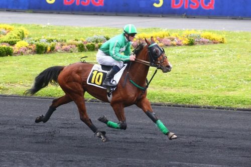 Karlson Pass et Jaguar de Villetot : une double réussite à Vincennes