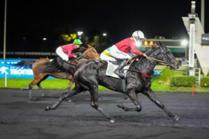 Lire la suite à propos de l’article Keengame brille dans le Prix Xavier de Saint-Palais