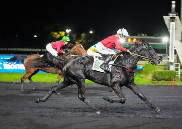 Keengame brille dans le Prix Xavier de Saint-Palais