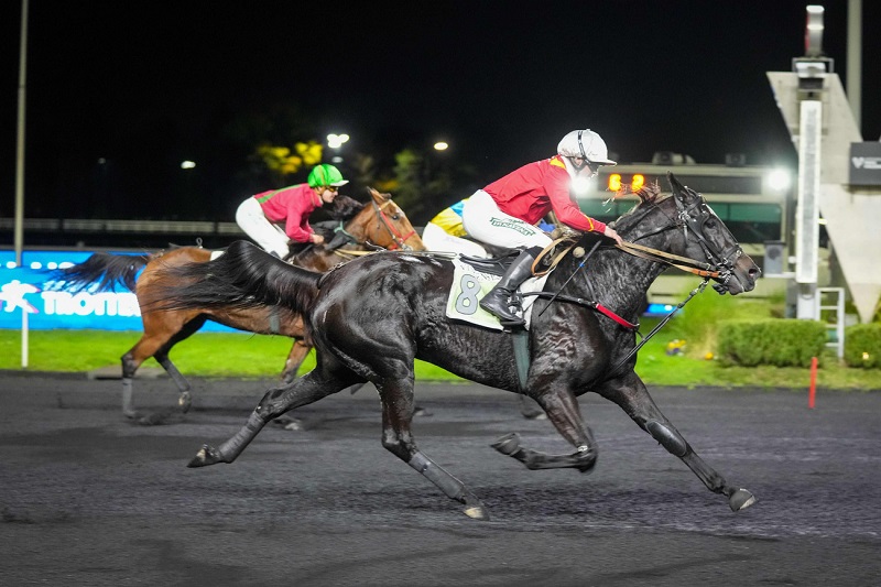 You are currently viewing Keengame brille dans le Prix Xavier de Saint-Palais