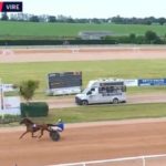 Première réussite Premium pour Lacsap Dream