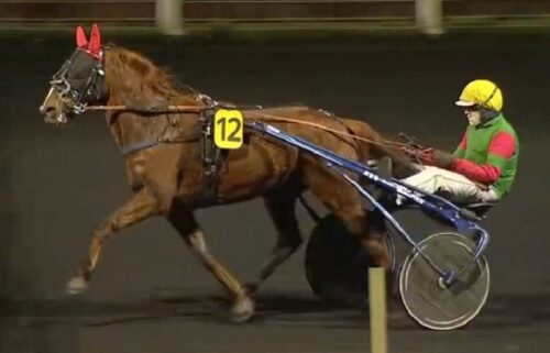 Première à Vincennes pour Lovely des Brouets