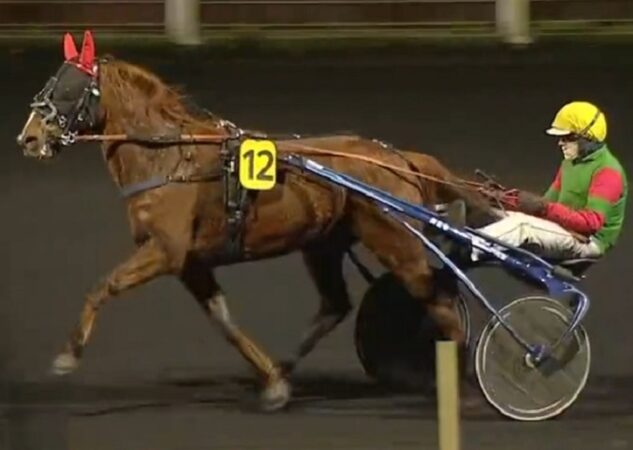 Première à Vincennes pour Lovely des Brouets